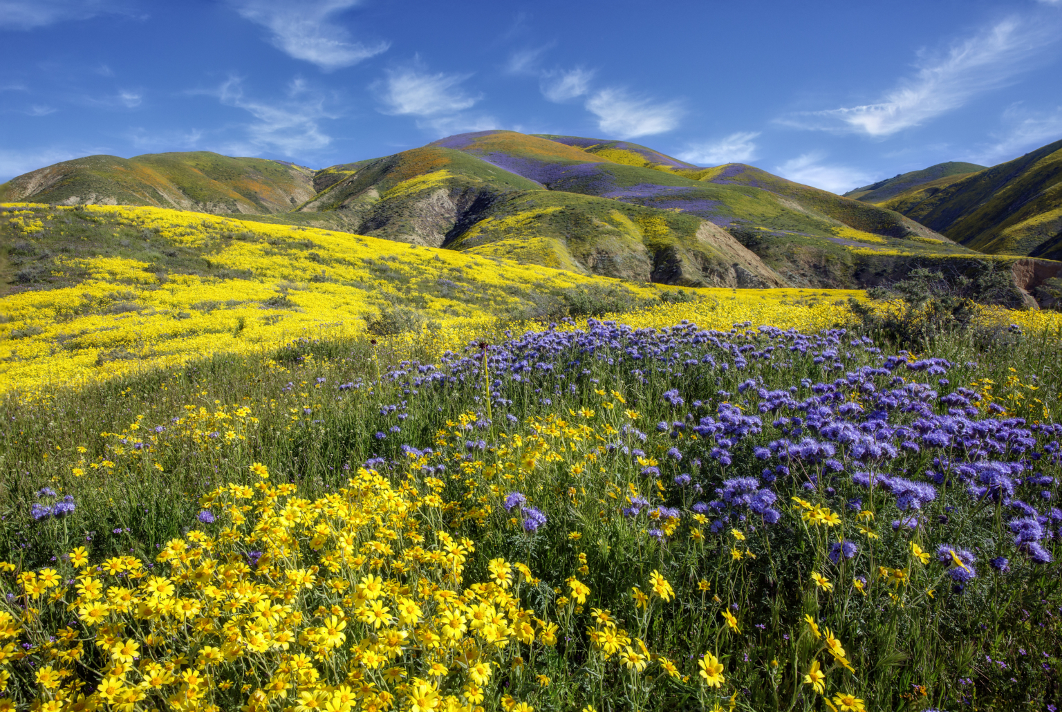 California's Natural Wonders - Camp California